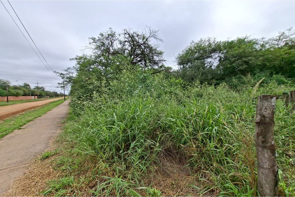 Terreno en venta en Filadelfia — foto 3