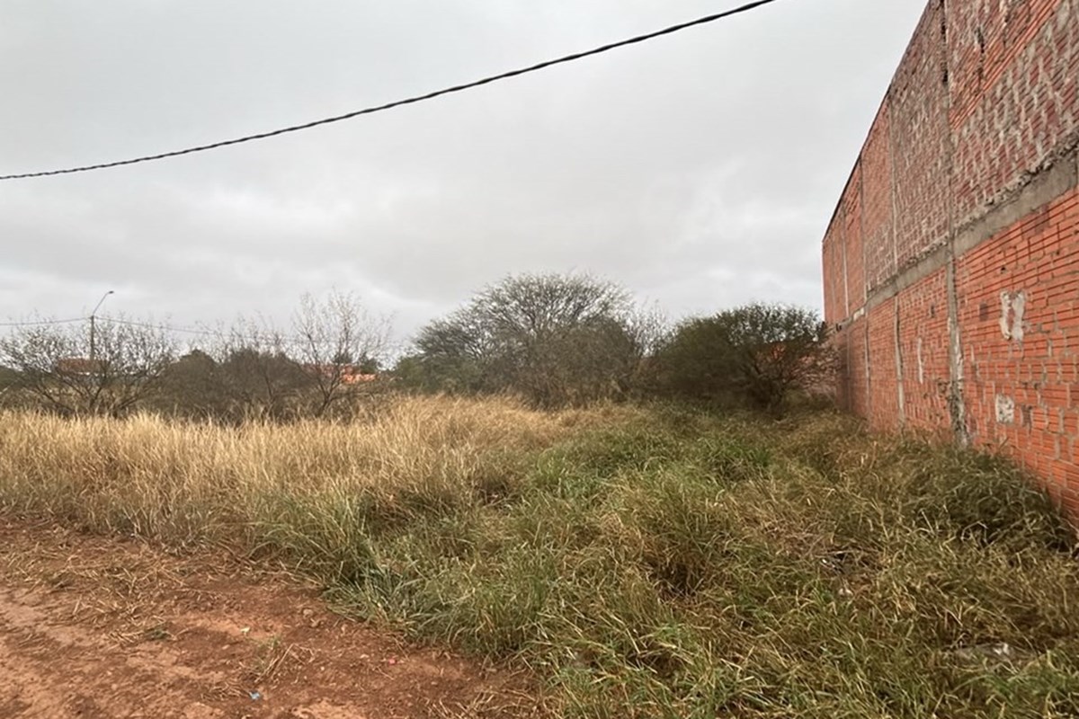 Terreno en venta en Filadelfia — foto 3