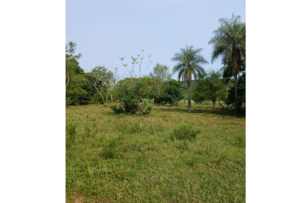 Vendo Terreno especial para inversión o casa quinta en la ciudad de Altos — foto 3