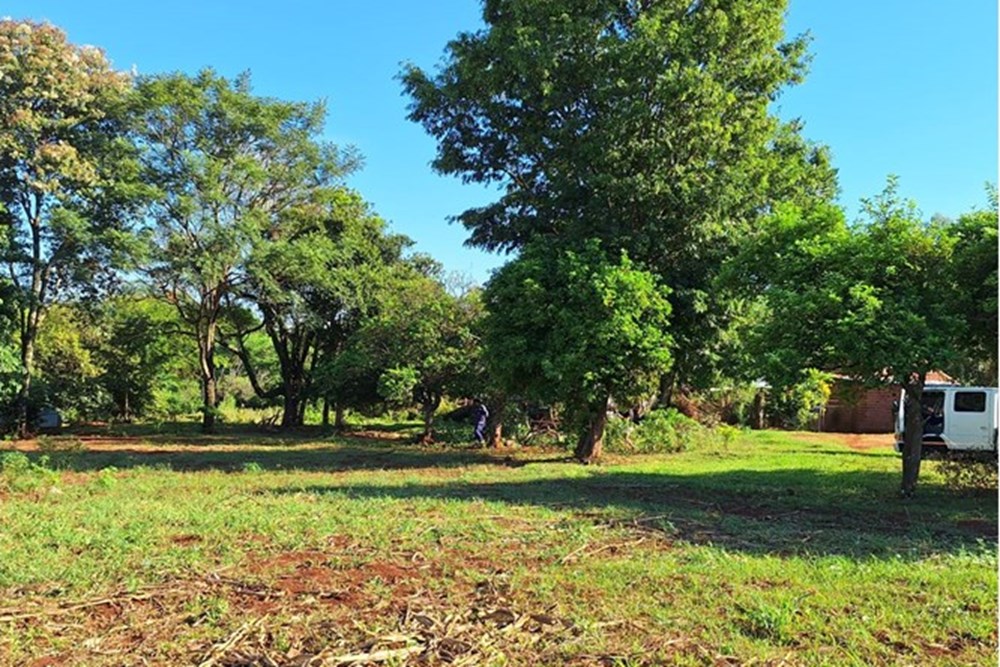 Terreno en venta en Tomás Romero Pereira — foto 3