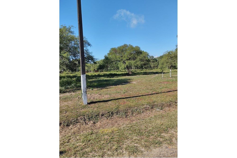 Terreno en venta en Doctor José Falcón — foto 3