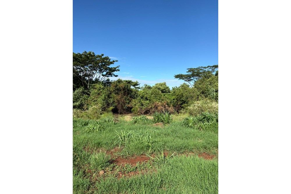 Terreno en venta en San Juan Del Paraná — foto 2