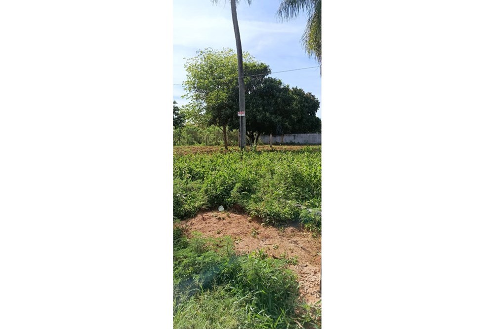 Terreno en venta en Potrerito, Itauguá — foto 2