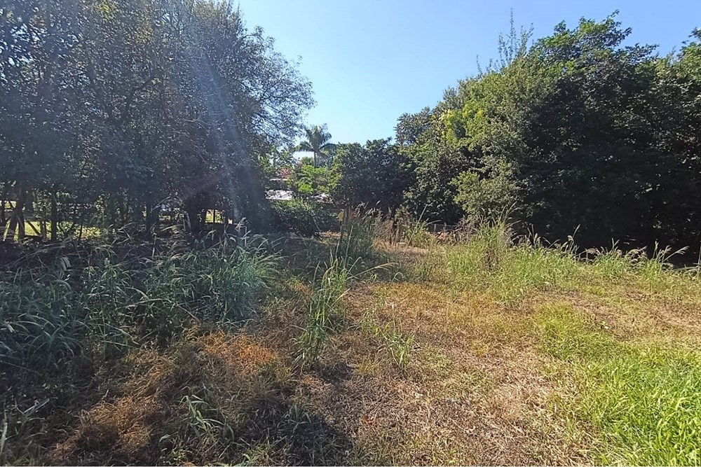 Terreno en venta en San Ignacio — foto 3