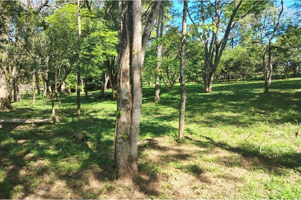 🌿 Finca Agrícola y Turística en Venta Minga Guazú — foto 3