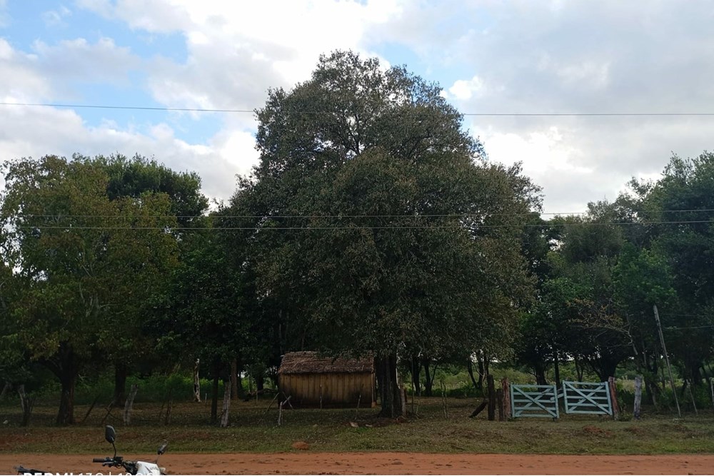 Propiedad en venta en José A. Fassardi — foto 2