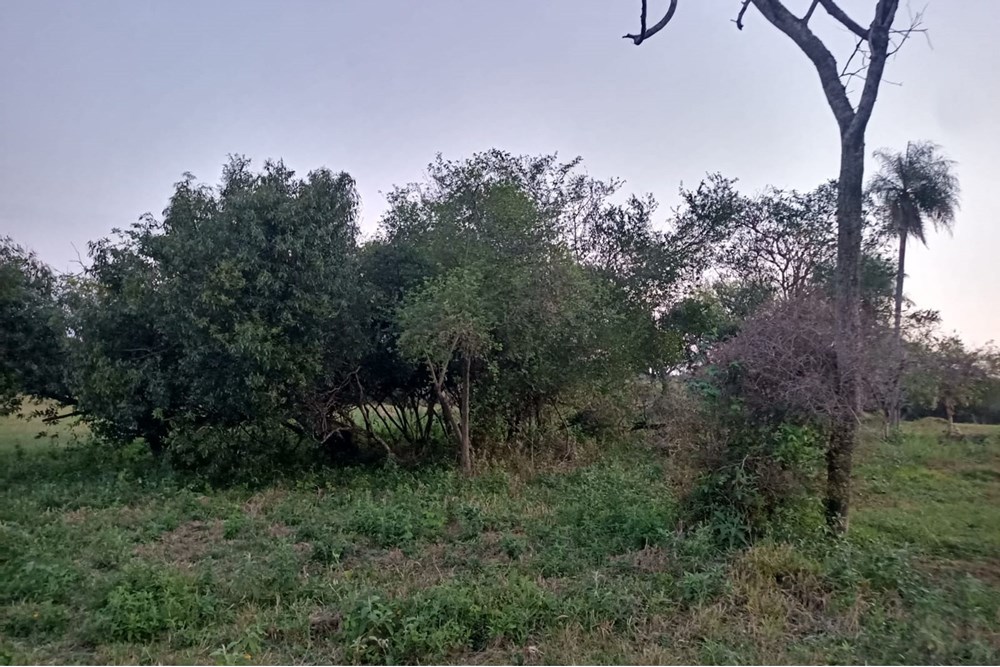 Terreno en venta en Takuruty, Villeta — foto 3