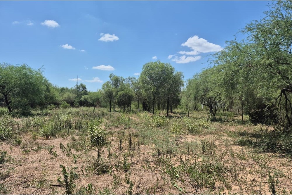 Terreno en venta en Filadelfia — foto 2