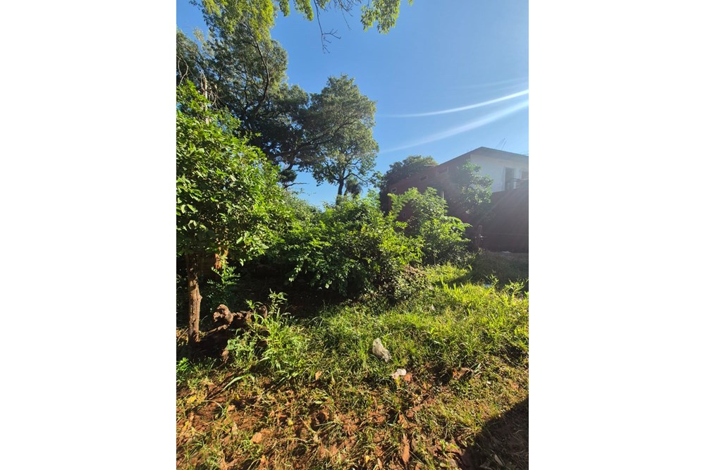 Terreno en venta en San Lorenzo — foto 2