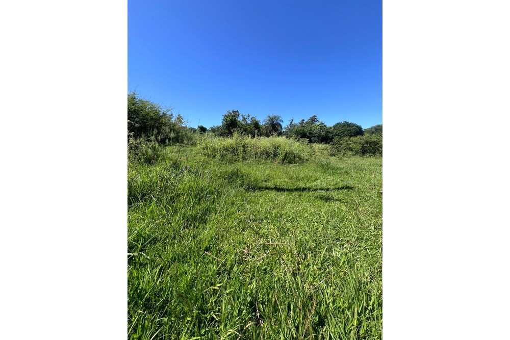 En venta terreno en Itauguá, zona Arsenio Erico, sobre empedrado, a 5 min de Ruta 2 y el centro de la ciudad. — foto 3