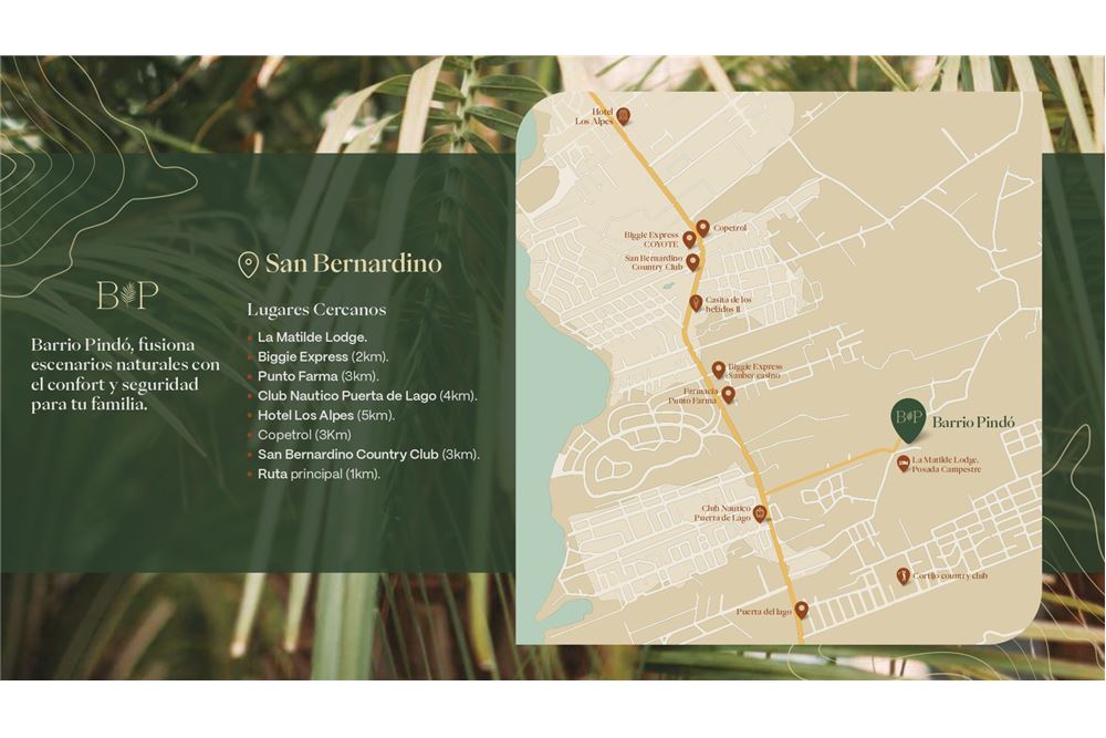 🌿𝗣𝗜𝗡𝗗𝗢́ 𝗦𝗔𝗡 𝗕𝗘𝗥𝗡𝗔𝗥𝗗𝗜𝗡𝗢: 𝗘𝗫𝗖𝗟𝗨𝗦𝗜𝗩𝗢𝗦 𝗟𝗢𝗧𝗘𝗦 𝗗𝗘𝗦𝗗𝗘 𝟳𝟬𝟲 𝗠² 𝗘𝗡 𝗘𝗟 𝗠𝗘𝗝𝗢𝗥 𝗕 — foto 2