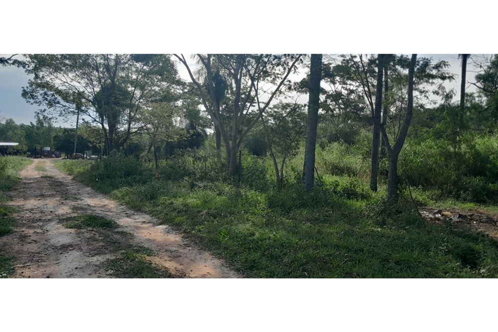 Campo en venta en Areguá — foto 3