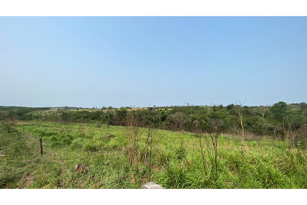 Campo en venta en Simón Bolívar — foto 2