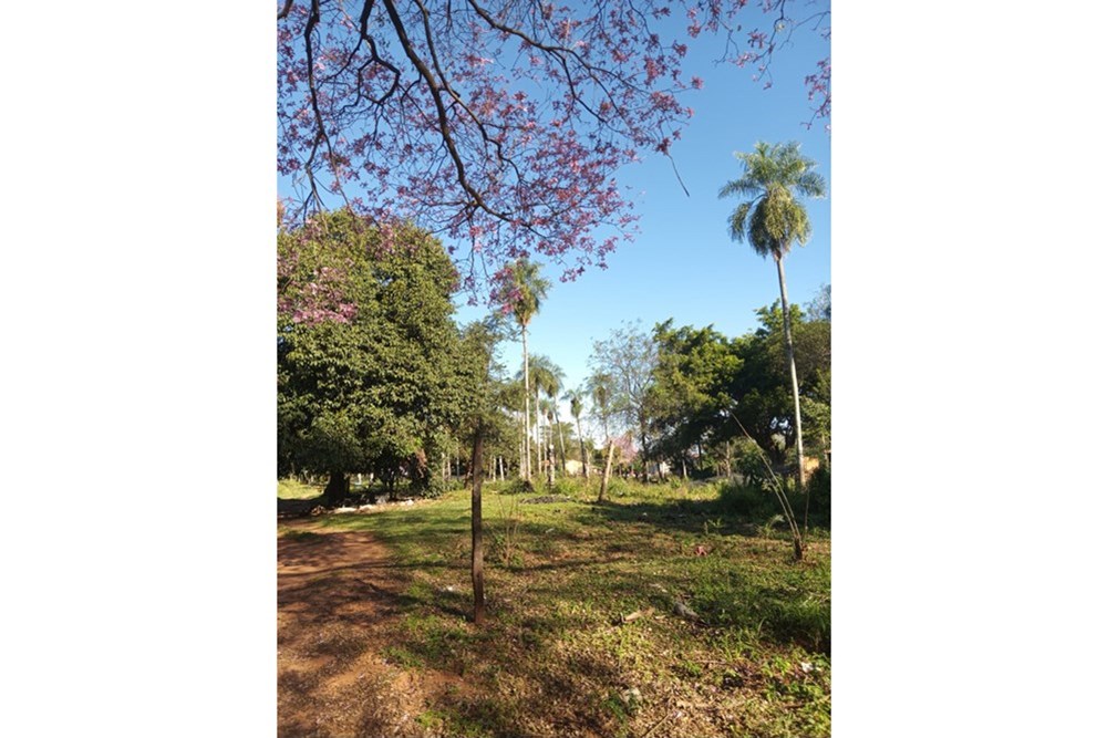 Terreno en venta en Areguá — foto 3