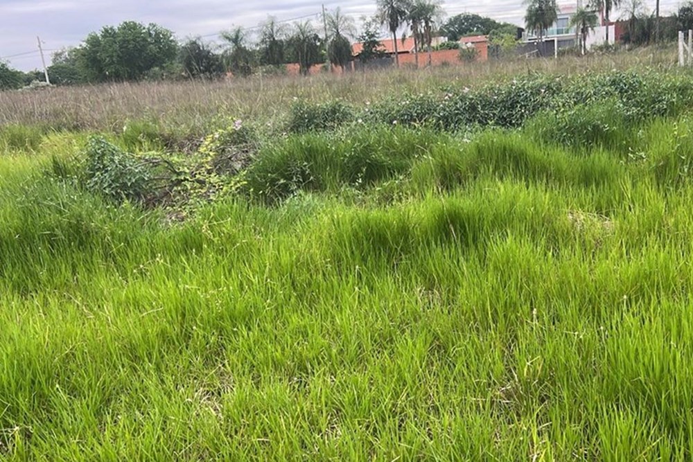 Terreno en venta en San Bernardino — foto 2