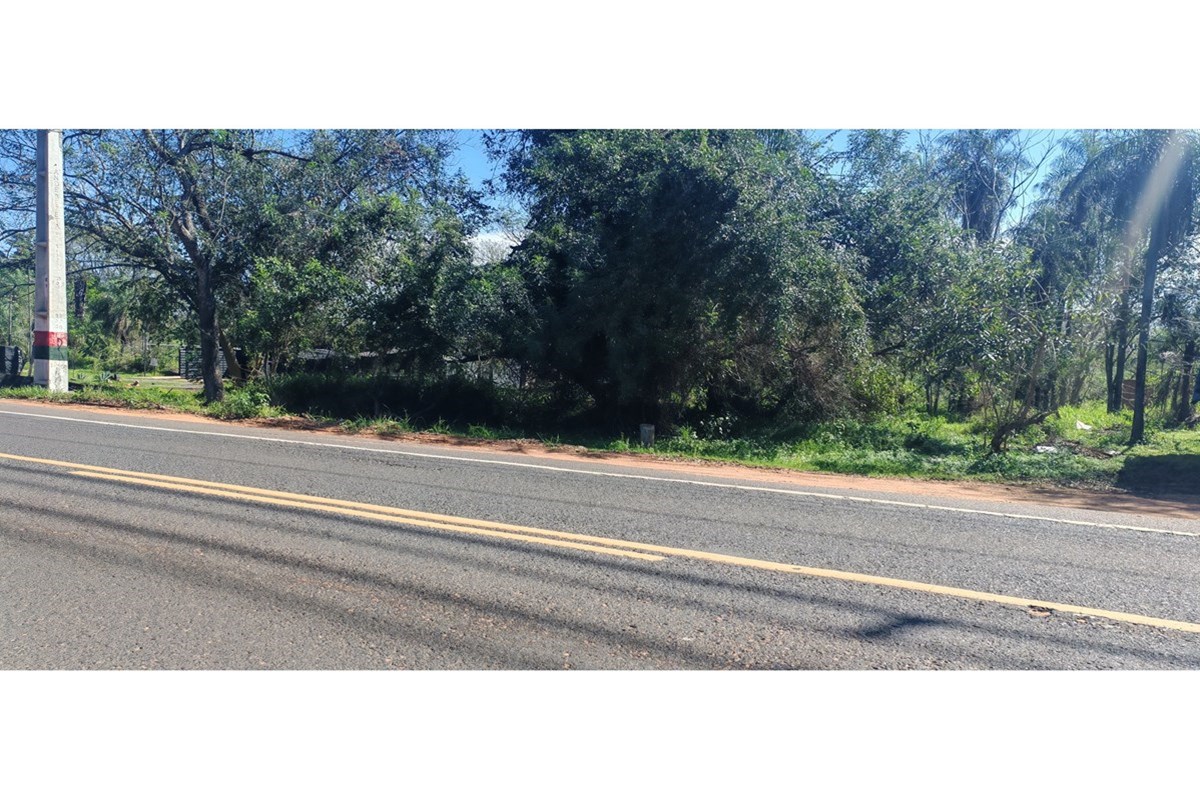 🚨🔥 ¡OPORTUNIDAD DE INVERSIÓN! 3 TERRENOS EN VENTA JUNTOS O POR SEPARADO 🔥🚨 — foto 3