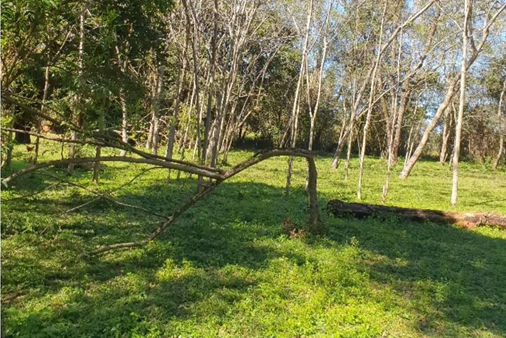 Casa en venta en Mbocayaty Del Guairá — foto 3