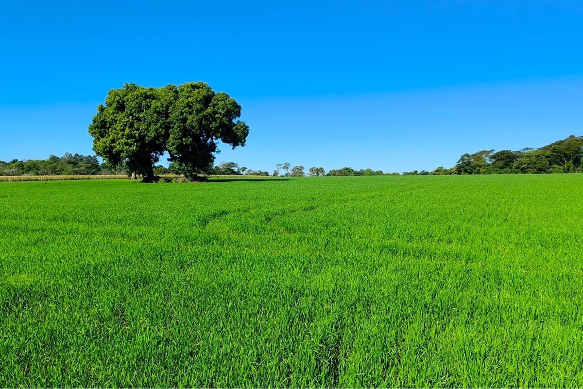 Terreno en venta en Fram — foto 2