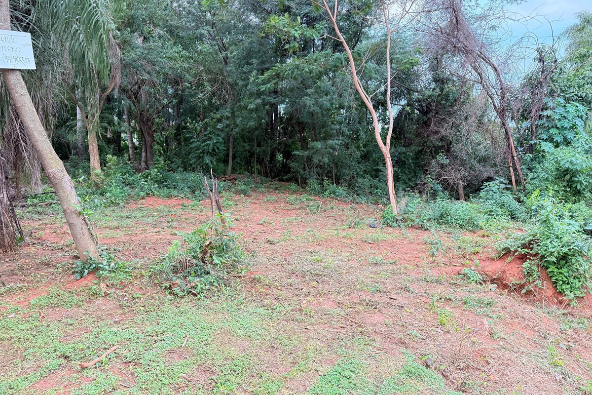 Vendo terreno en Limpio, Col. Juan de Salazar — foto 3