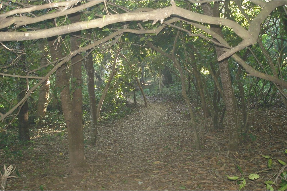 Venta de Amplio Terreno en Eusebio Ayala, Desvío a Piribebuy — foto 2