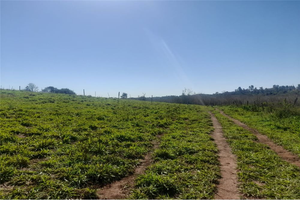 Campo en venta en Lado Monday, Minga Guazú — foto 2