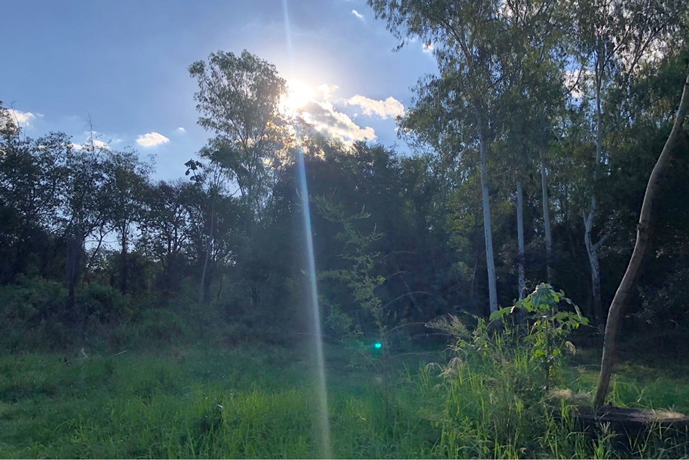 Terreno en venta en San Juan Del Paraná — foto 3