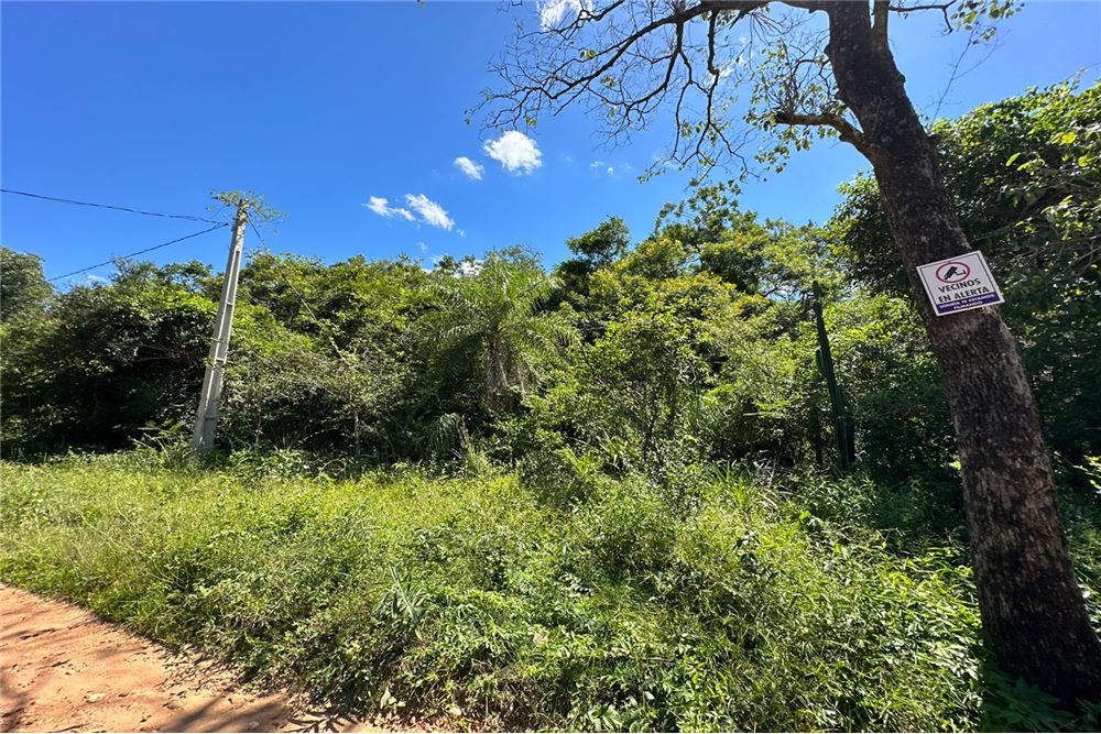 En venta 3 lotes juntos en San Bernardino - Ciervo Cua. Ubicado a 800 metros de la Ruta Luque - San Bernardino. Atrás de — foto 3