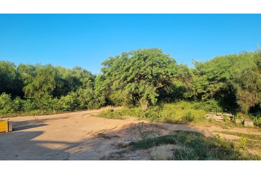 Terreno en venta en Loma Plata — foto 3