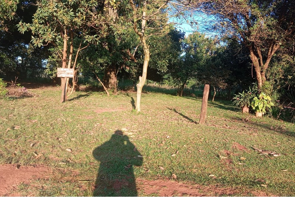 Terreno en venta en Caaguazú — foto 3