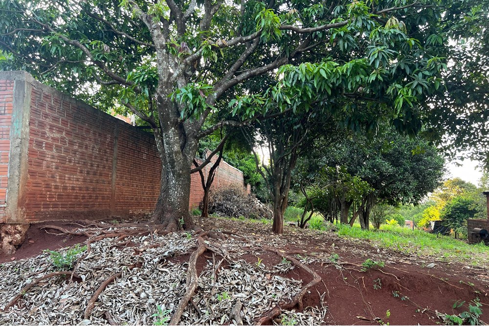 Terreno en venta en Cambyretá — foto 3