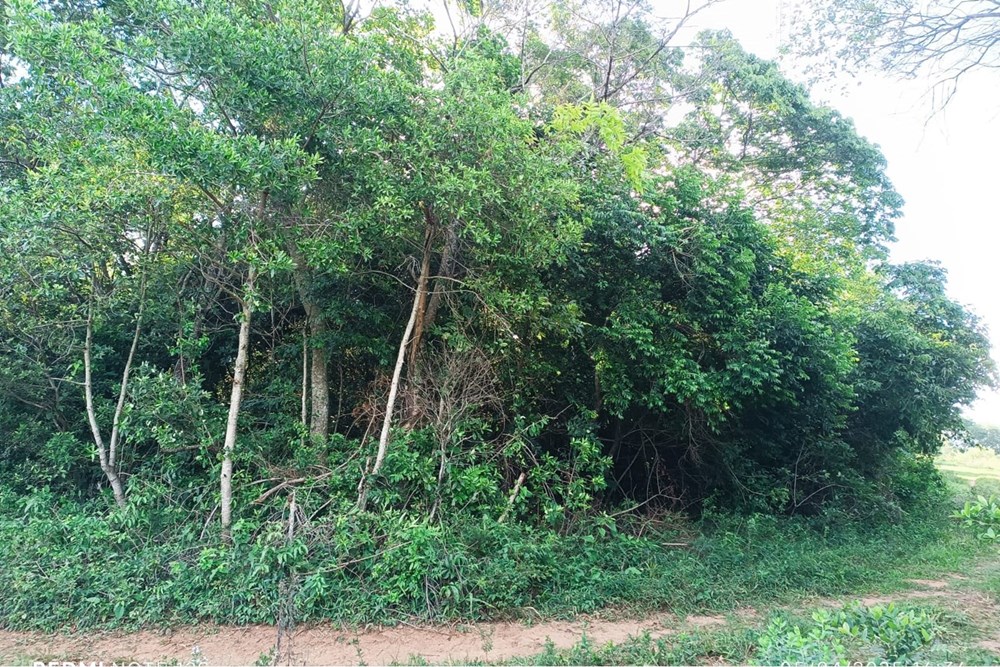 Terreno en venta en Paraguarí Zona Turística | 720 m² de calle a calle — foto 3