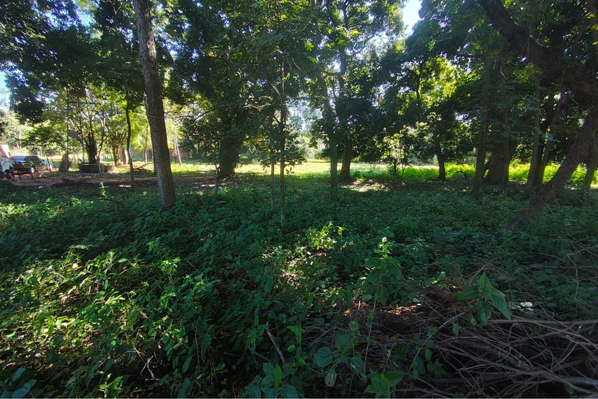 Terreno de 2.160 m² disponible para alquiler en una ubicación estratégica dentro del distrito de Capiatá, con excelente  — foto 2