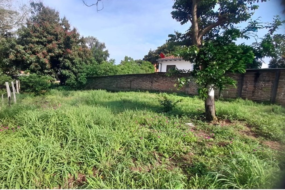 Terreno en venta en Remanso, Villa Elisa — foto 2