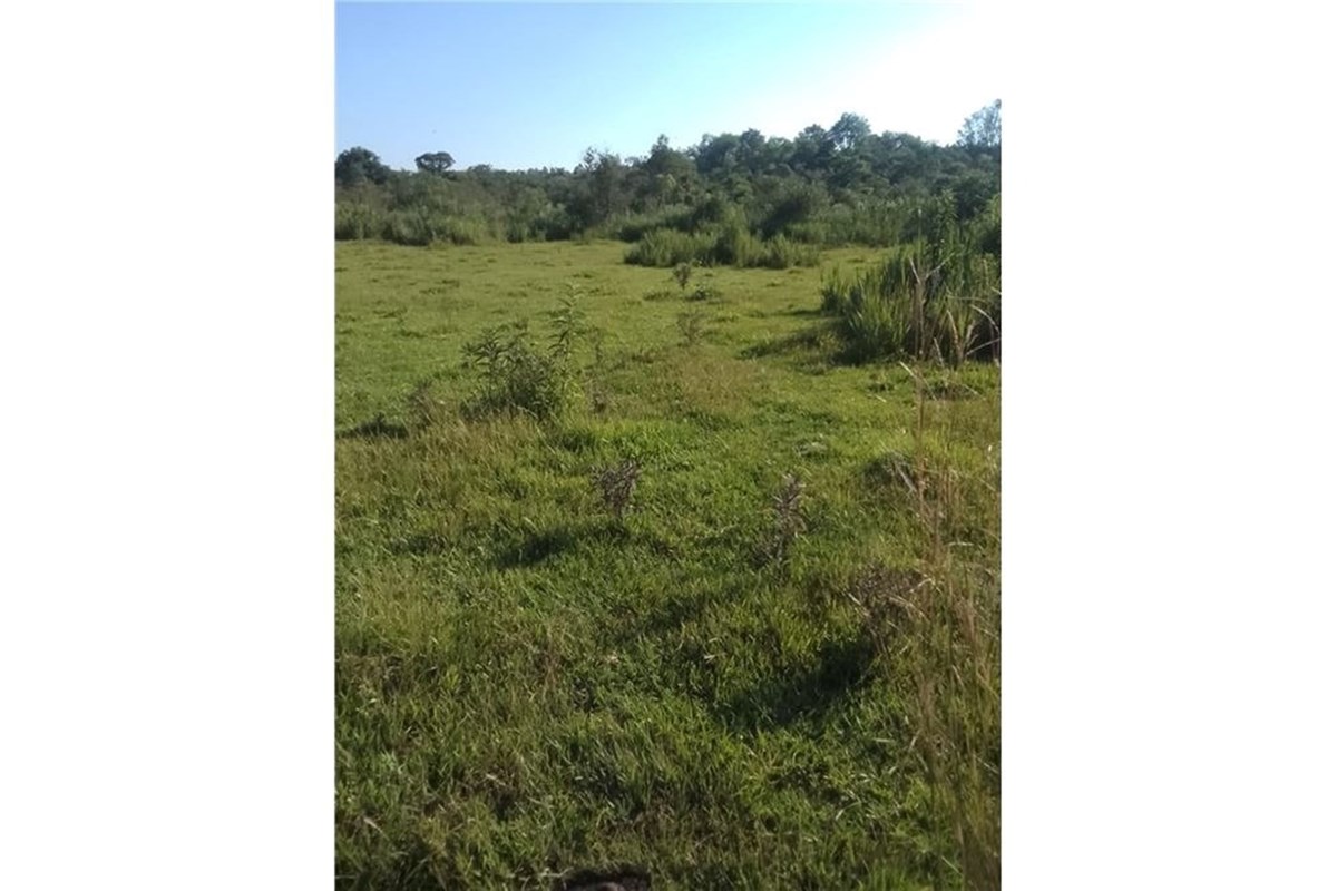 Terreno en venta en Coronel Bogado — foto 3