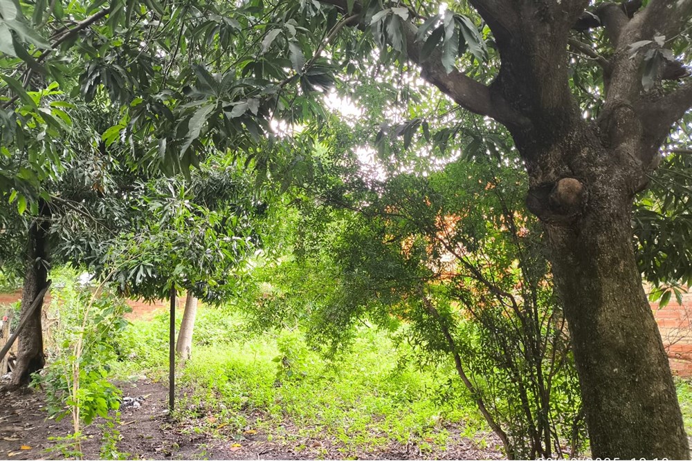 Terreno en venta en Centro, Limpio — foto 3