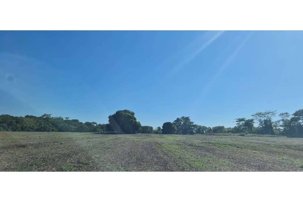 Terreno en venta en Itacurubí del Rosario — foto 3