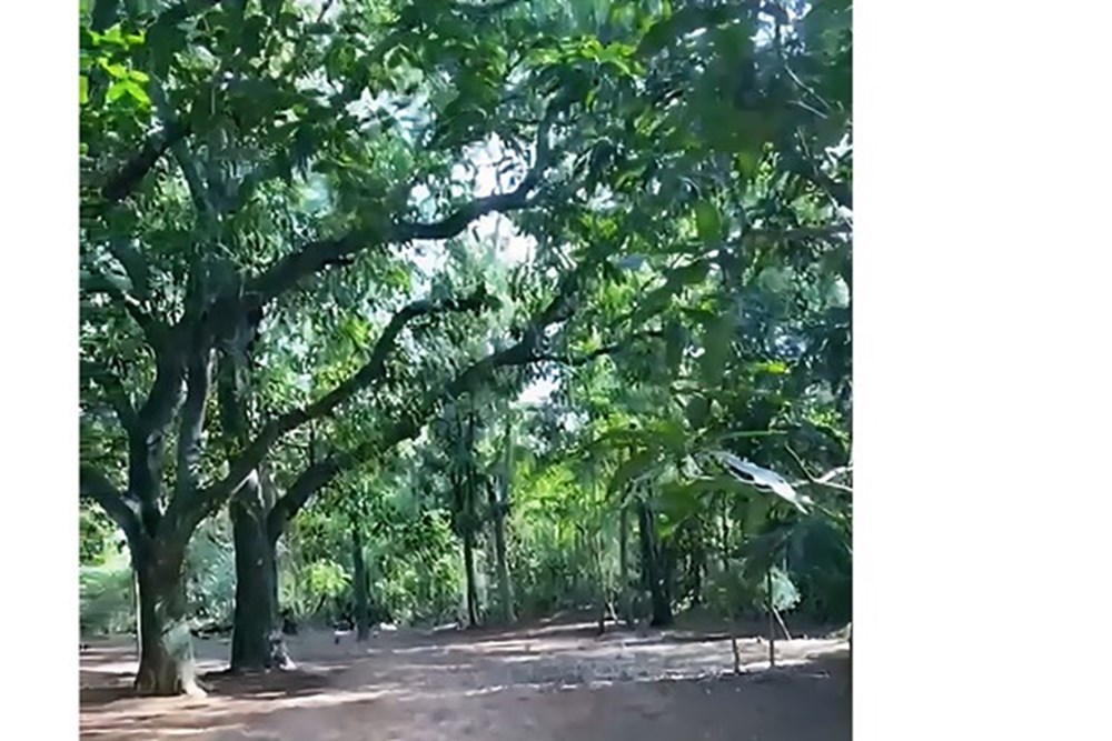 Terreno en venta en Tobatí — foto 3