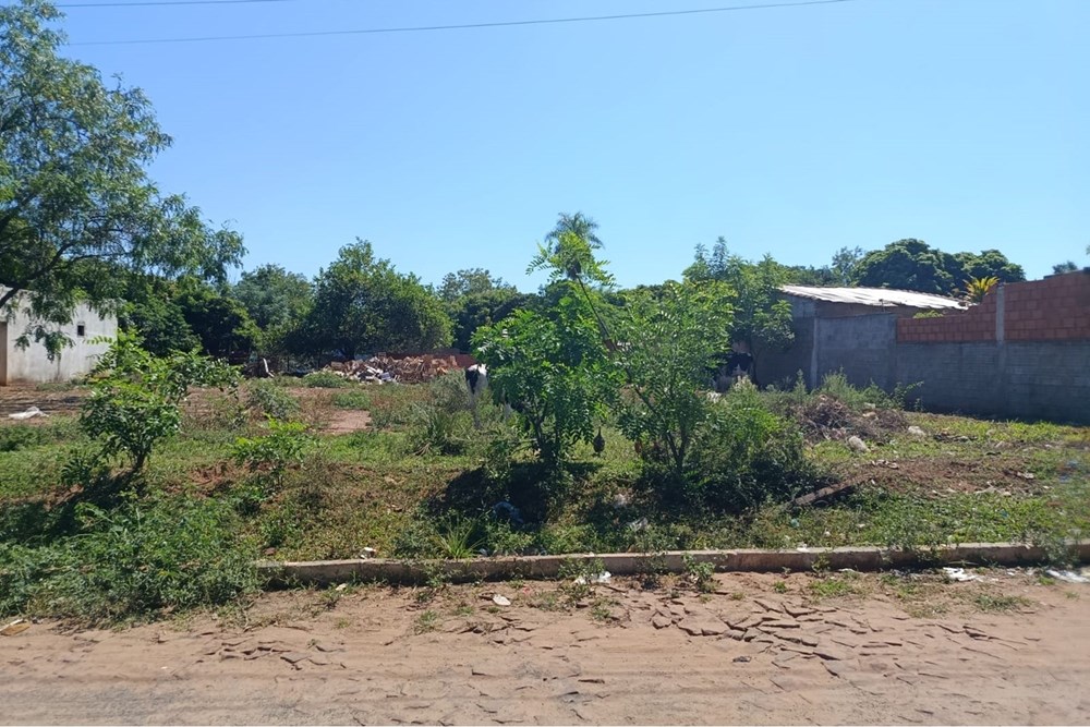 Terreno en venta en Julián Augusto Saldívar — foto 2