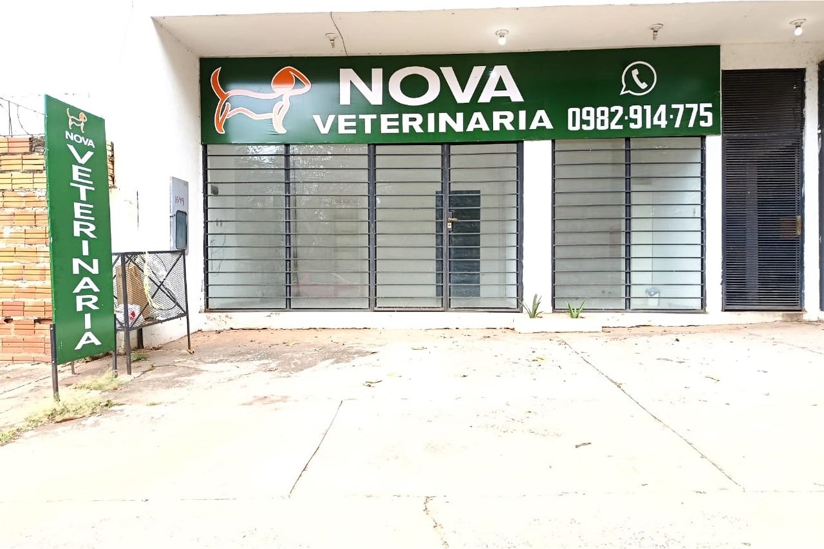 Hermoso local Comercial en la Ciudad de Luque Barrio Laurelty — foto 3