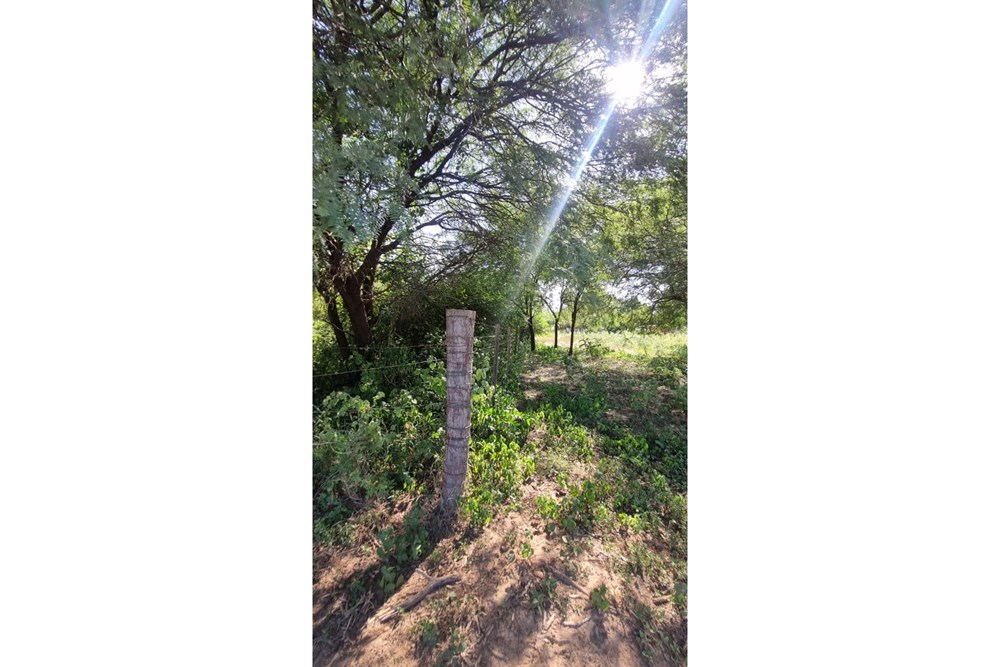 Terreno en venta en Loma Plata — foto 3