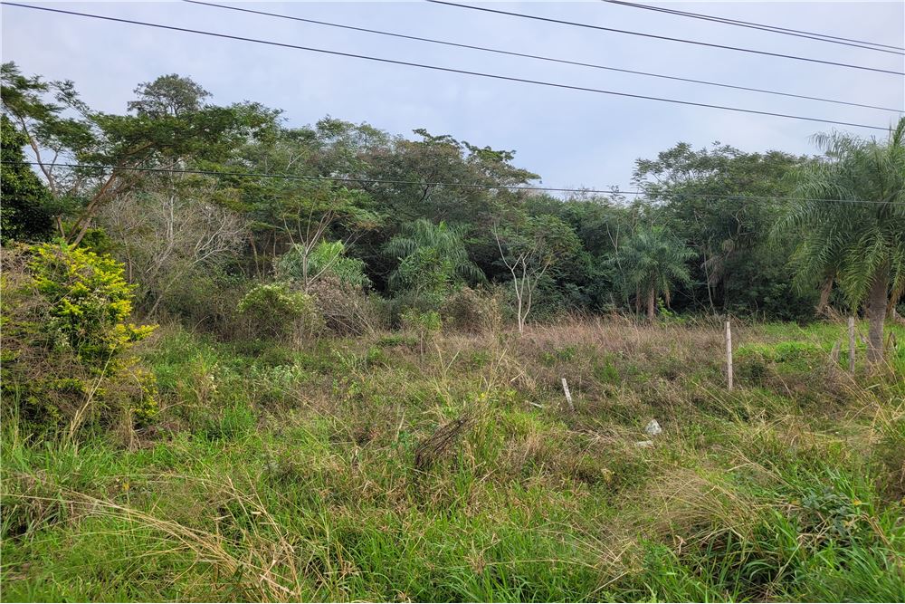 Terreno en venta en Ypané — foto 2