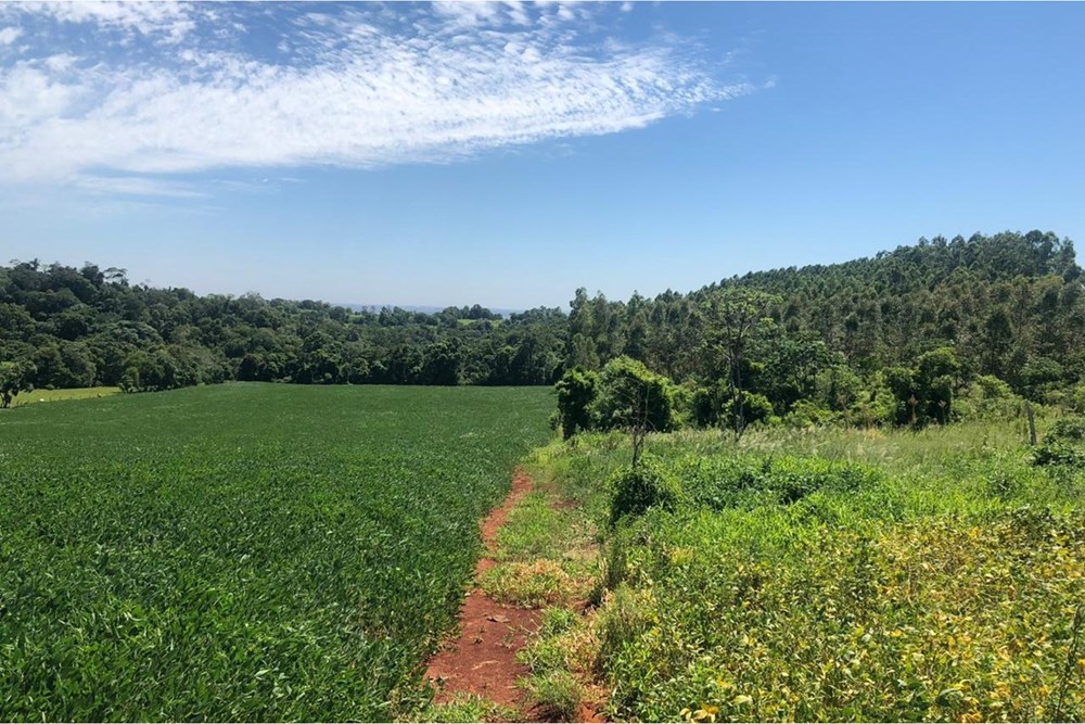 Propiedad en venta en Nueva Alborada — foto 2