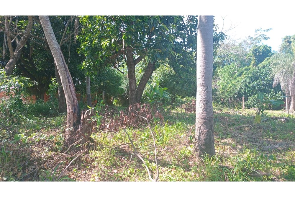 Terreno en venta en Rincón, Ñemby — foto 3