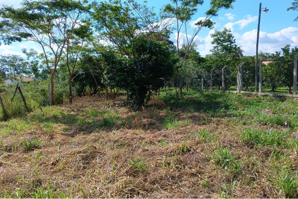 Terreno en venta en Mbokajaty, Julián Augusto Saldívar — foto 3