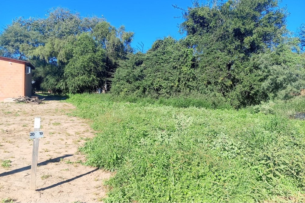 Terreno en venta en Filadelfia — foto 3
