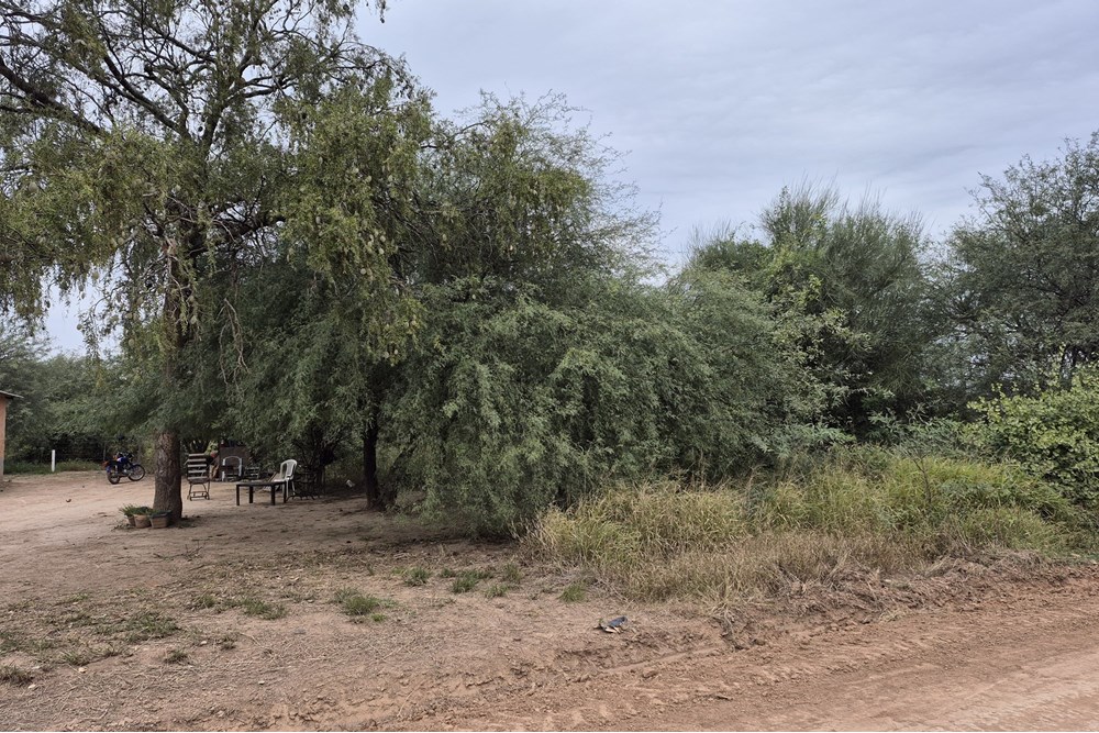 Terreno en venta en Loma Plata — foto 2