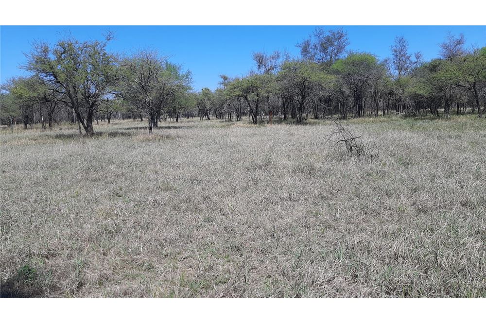 Terreno en venta en Doctor José Falcón — foto 3
