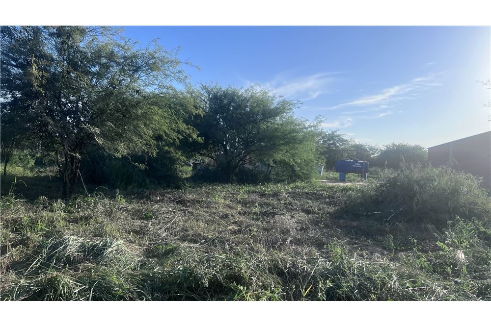 Terreno en venta en Filadelfia — foto 2