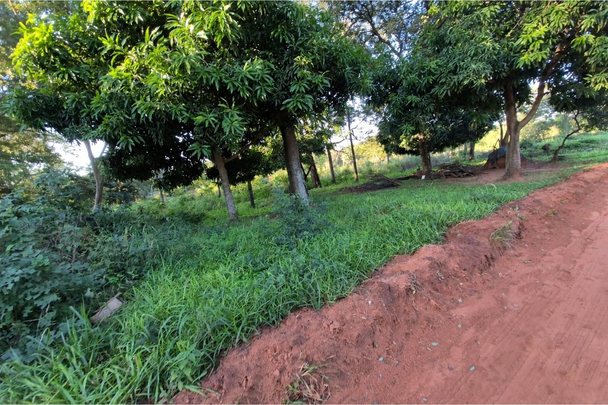 Terreno en venta en Rojas Cañada, Capiatá — foto 3