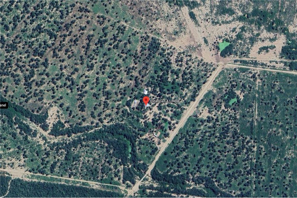 Campo en venta en Mariscal José Felix Estigarribia — foto 2